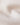Merino uld rullekrave sweater - Hvid